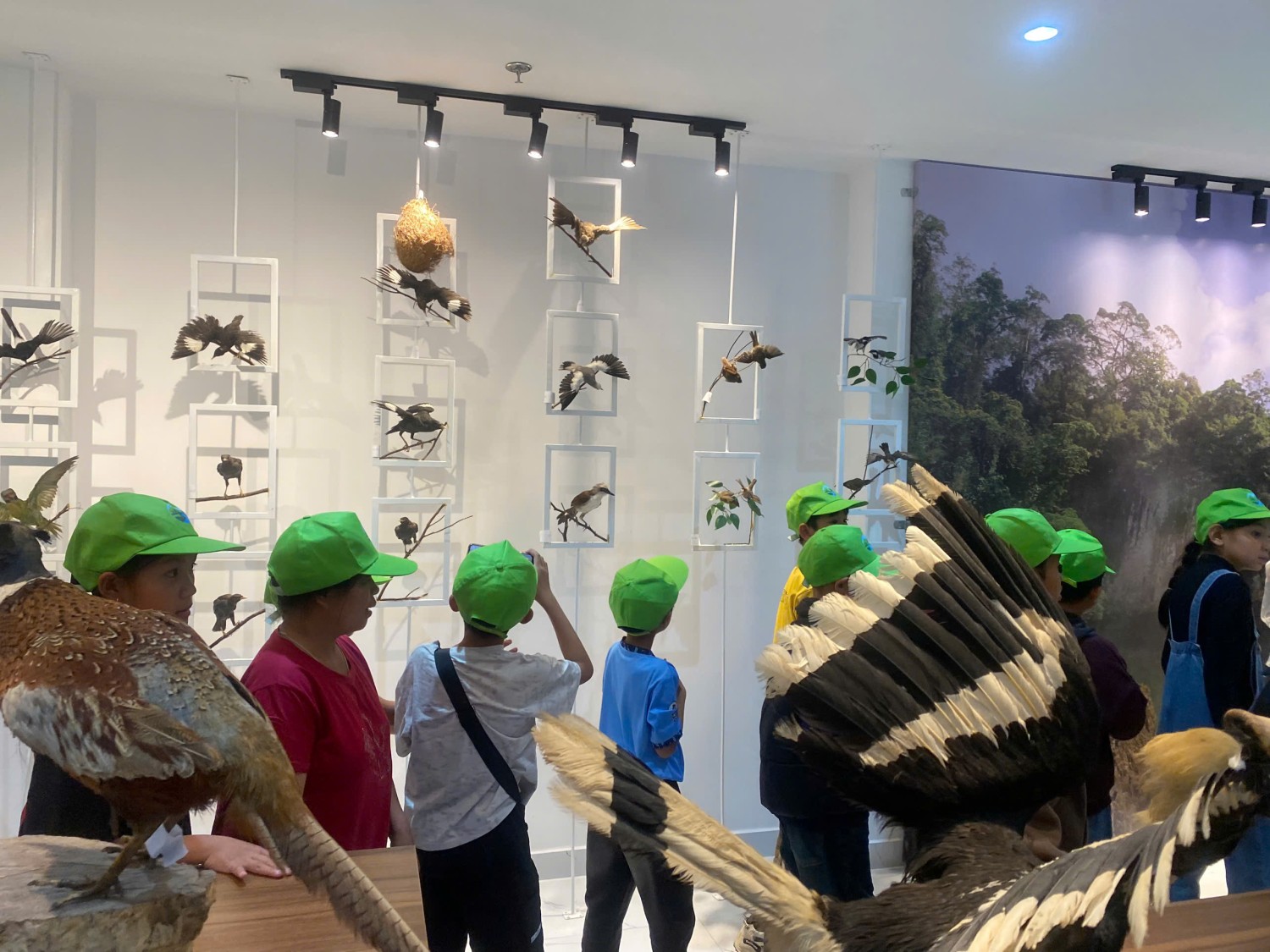 gen h z7646521213486 5937f10dc0befb1d69eca2b8b3446999