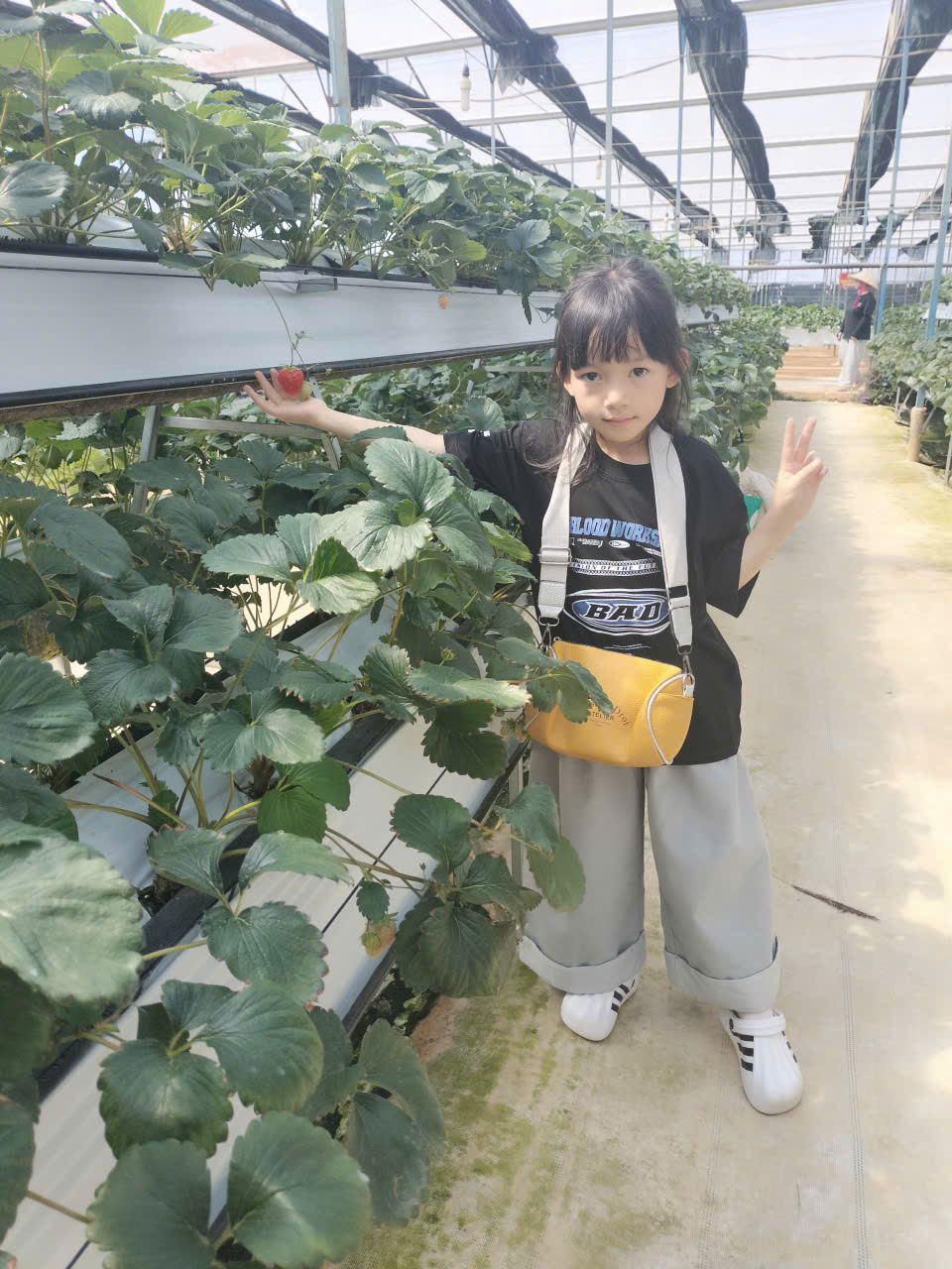 gen h z7646774895610 d975ab10f4d8d2bc2cededa3481eee20